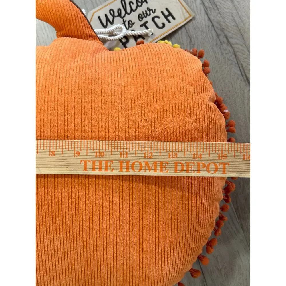 Unknown adorable orange
